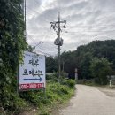 제부 포레스트 | 제부도 애견펜션 강아지가 더 좋아하는 제부 포레스트 숙박 후기