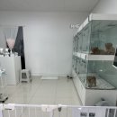 김해 강아지분양 두부네 하루 이미지