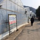 더드림순대국 이미지