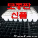 프롭테라피&밴드운동 이미지