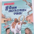 글로벌로티스