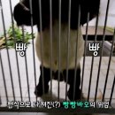 노는 게 제일 좋... 아니 눕는 게 제일 좋아 (￣^￣)ゞ