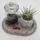 안양시관악장애인종합복지관 | 서울 관악구 복지관 실버 단체수업│발포세라믹 화분과 이끼 테라리움 클래스