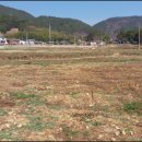 삼삼오오공인중개사사무소 이미지