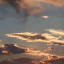 김밥세상25 이미지