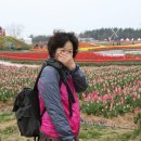 한아름 사슴 농장 이미지