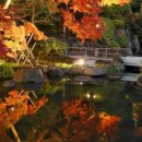 작은동경 이미지