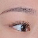 분당정자1-D-8 | 성남 | 분당 판교 루브로우, 속눈썹 연장 극혐러가 정착한 곳 후기