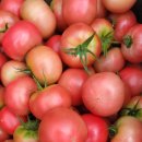 (주)풀무리 이미지