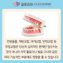 글로리아치과교정과치과의원 이미지