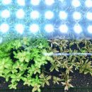 유경2호 이미지