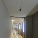 호텔 쏠레르 | 보령 호텔 쏠레르 오션뷰 내돈내산 후기