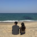심곡정미소 | [2023 강릉] - 강릉 가족여행 숙소추천