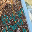 행복드림농장 이미지