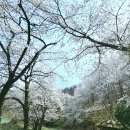 구봉농장 이미지