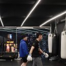 팀 해명 짐 이미지