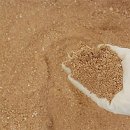 순희농장 이미지