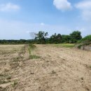 황금부동산법률중개사사무소 이미지