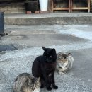 남해촌캉스 이미지