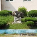 덕곡중학교 이미지