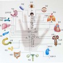 손 혈자리 수지요법 이미지