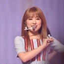 금손