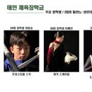 태인 스포츠투데이