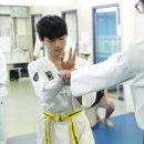 서래태권도 이미지