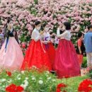 곡성-128 이미지