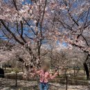 자인힐병원 이미지