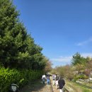 항동푸른숲동물병원 | [서울 나들이 추천] 푸른수목원 산책으로 도심 속 힐링 즐기기