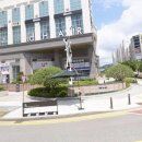 365일박사약국 이미지