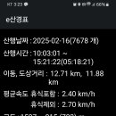 당골2 티스토리