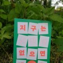 풀숲#1 이미지