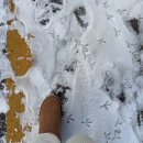 [강남] 프리미엄 파워V윤곽관리&lt;오늘도 스무살&gt; 진아쌤 후기(+서비스링크)