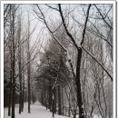 서인공원 이미지