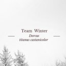 청암학교(청암앤) 이미지