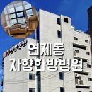 북구 교통사고 한방병원/연제동 한방병원 :) 연제동 자향한방병원 입원한 솔직 후기!