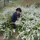 고인돌공원 이미지