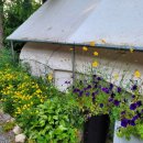 산삼고을 이미지