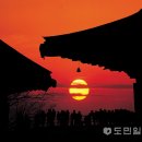 향일암 이미지