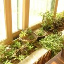 수민이네 이미지