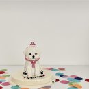 구미 강아지 케이크 주문은 문성 애견 수제간식 맛집 해버바잍