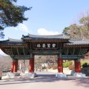 구룡목제 | 양산 통도사 성보박물관 (2024.03.20)