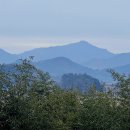 조선조 연산군 때 교리(정5품 문관) 이미지