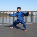 김지룡 태극권 이미지