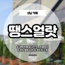 땡스커피 | [성남] 대형카페 |땡스얼랏| 율동공원캠핑장 베이커리카페 주차 메뉴 소금커피 후기