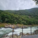월악향기민박 | ⛺ 충북 제천 프라이빗 캠핑장 BEST 5 : 숲속 힐링 끝판왕 추천 🌿