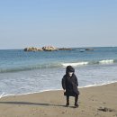 죽이야기 언양점 | 196. 부산에서 경주 바다보러 가는길 점심식사! 울산 언양 진미불고기