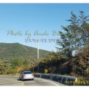 백송식당 이미지